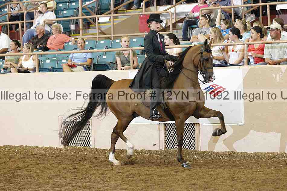 Proof 12yn_11092