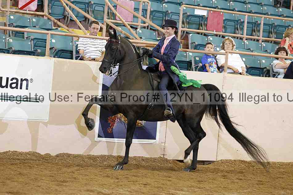 Proof 12yn_11094