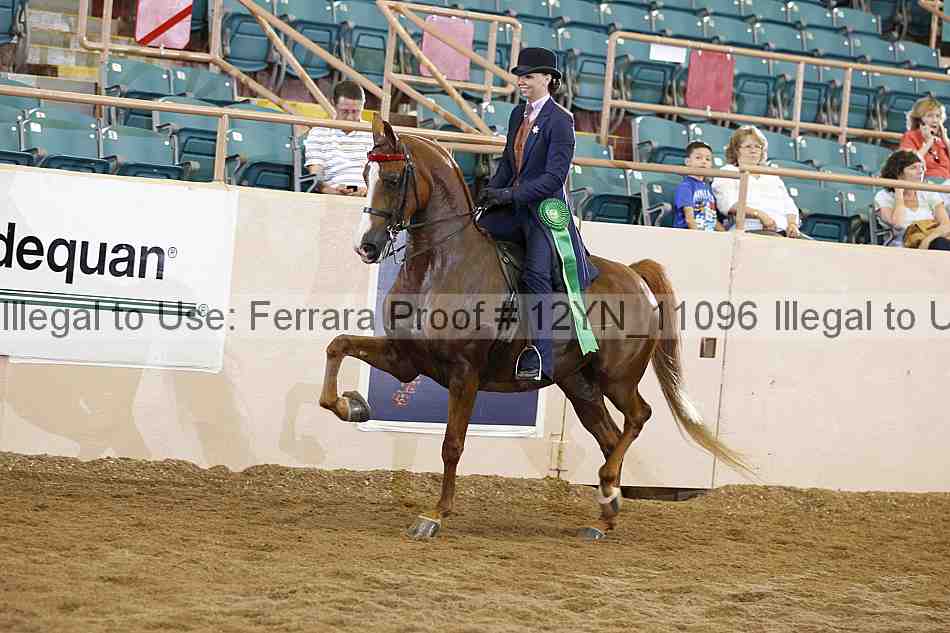 Proof 12yn_11096