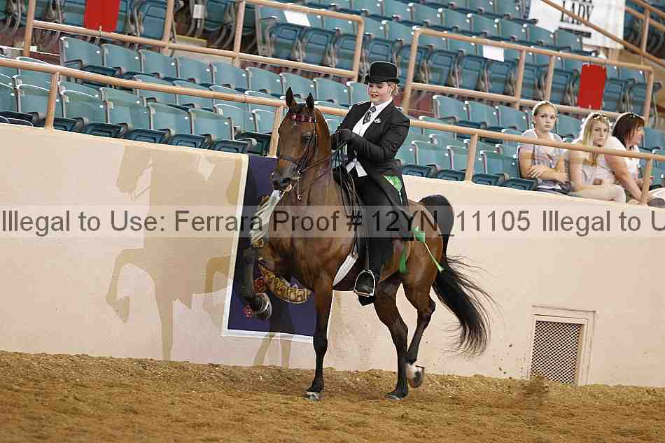 Proof 12yn_11105