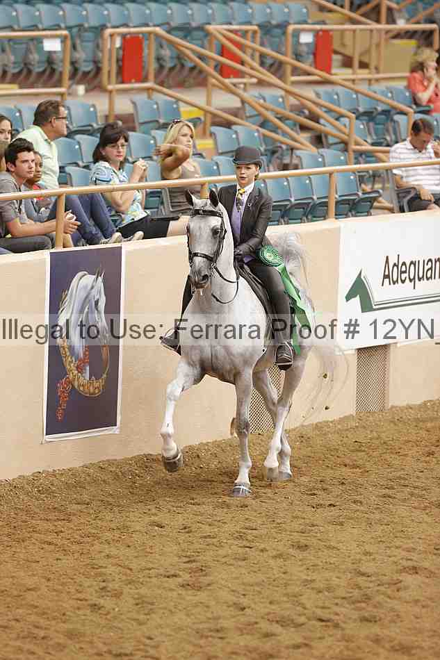 Proof 12yn_11106