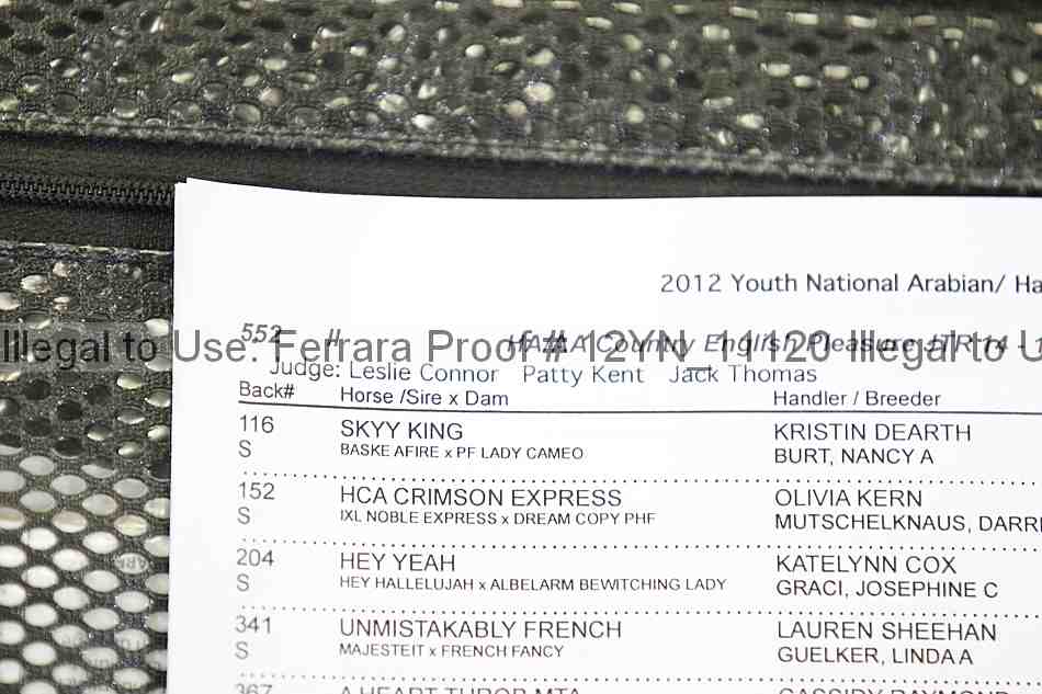 Proof 12yn_11120