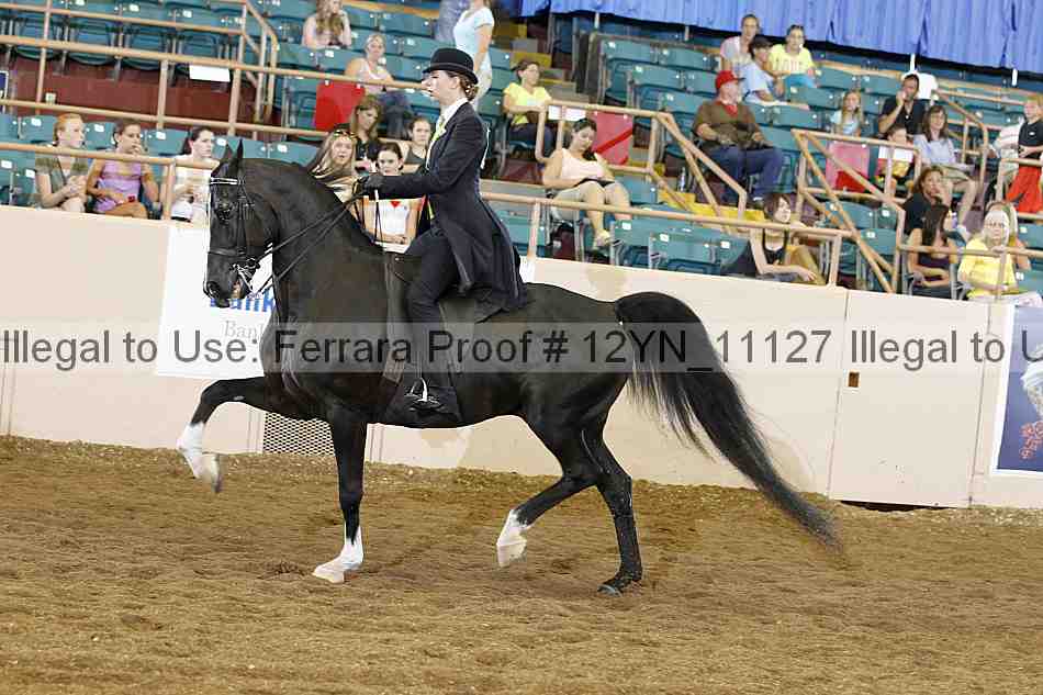 Proof 12yn_11127