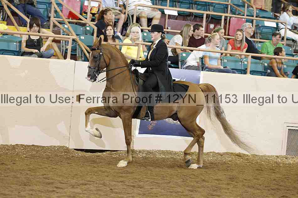 Proof 12yn_11153