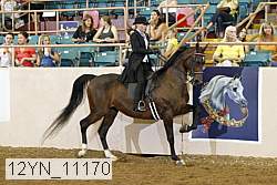 12yn_11170 proof
