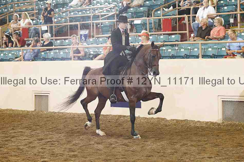 Proof 12yn_11171