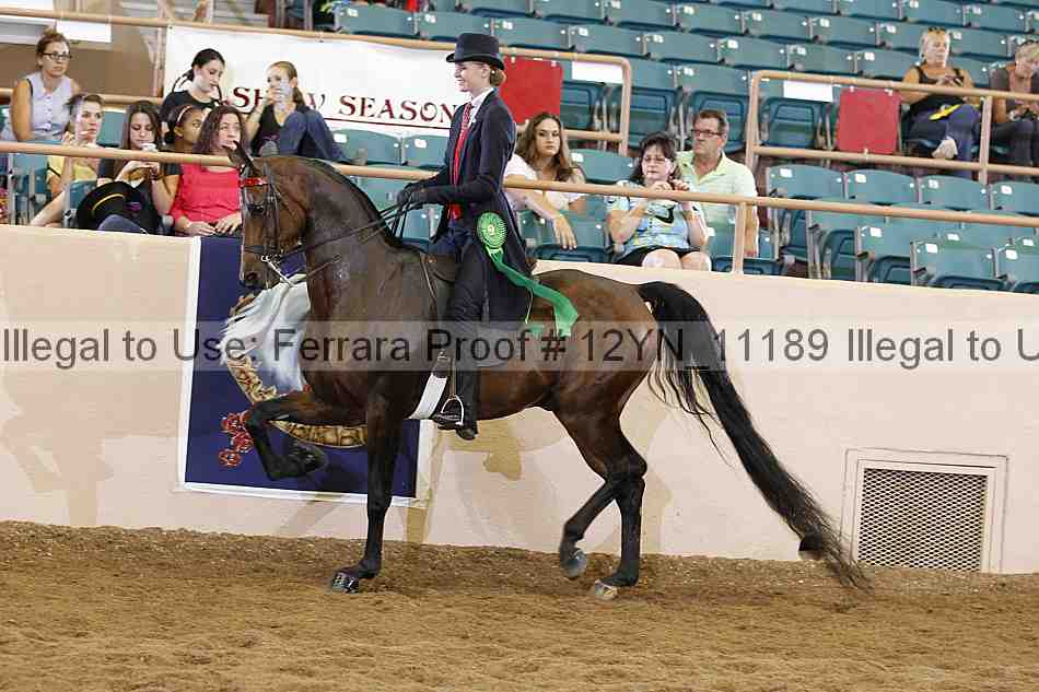 Proof 12yn_11189