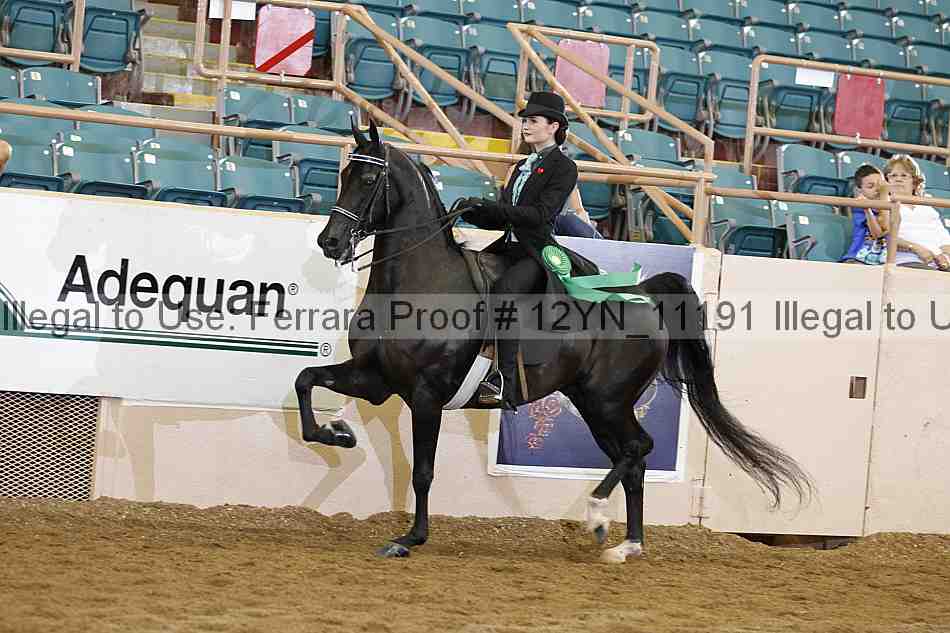 Proof 12yn_11191