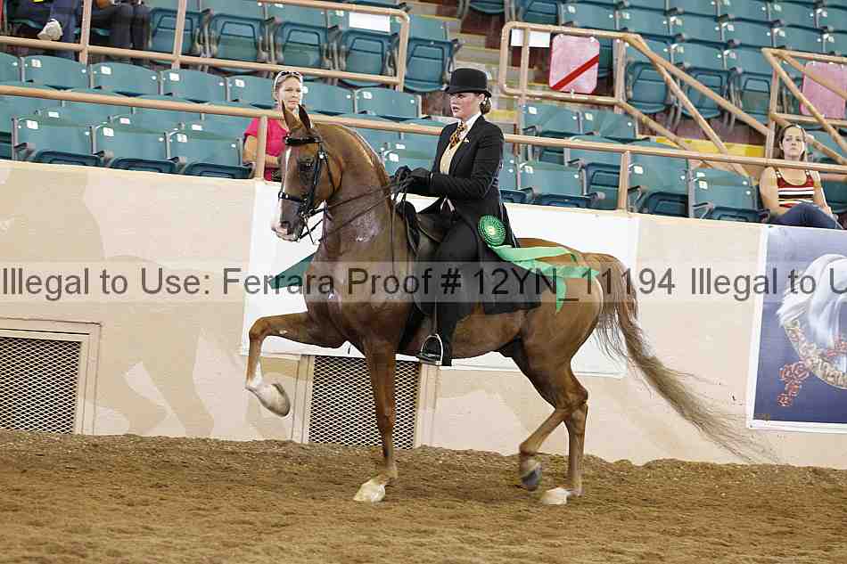 Proof 12yn_11194
