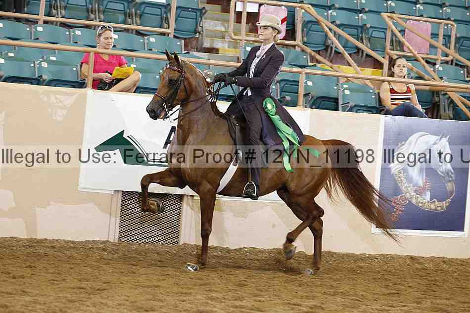 Proof 12yn_11198