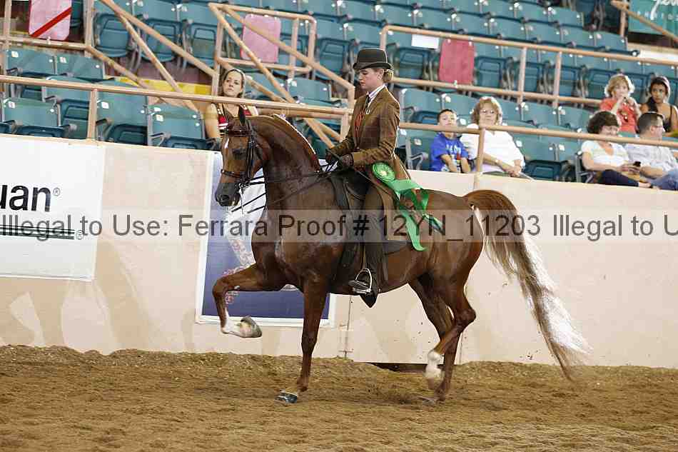 Proof 12yn_11203