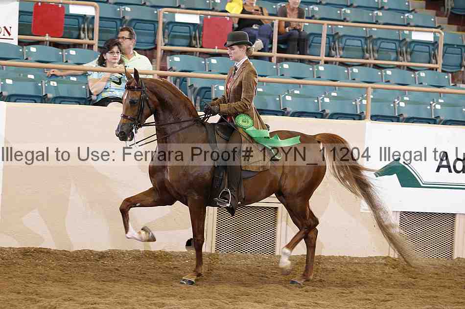 Proof 12yn_11204