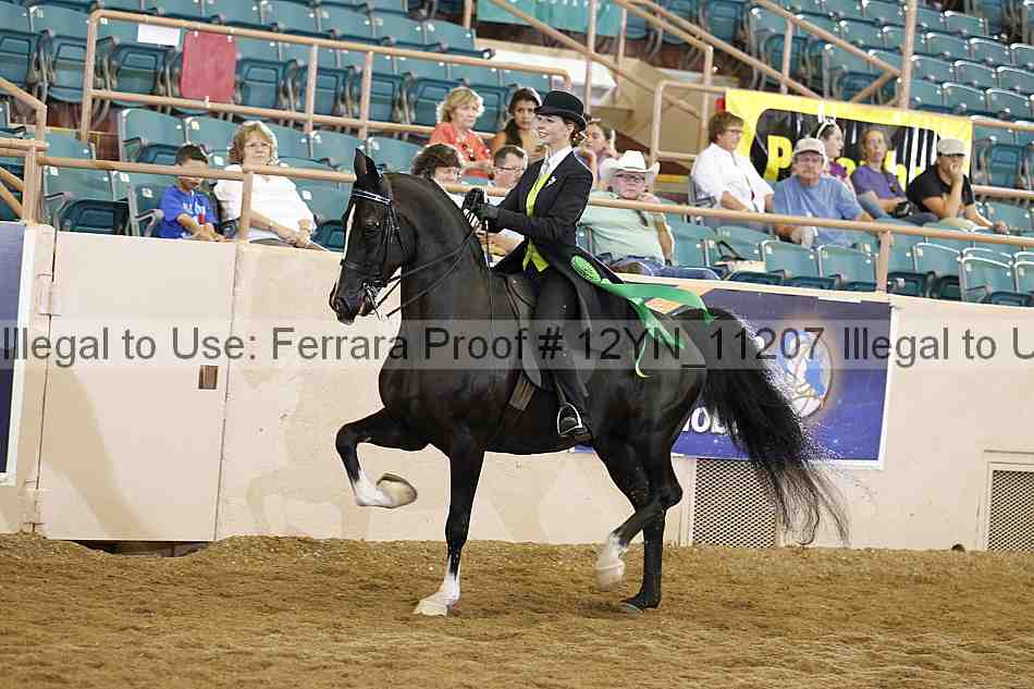 Proof 12yn_11207
