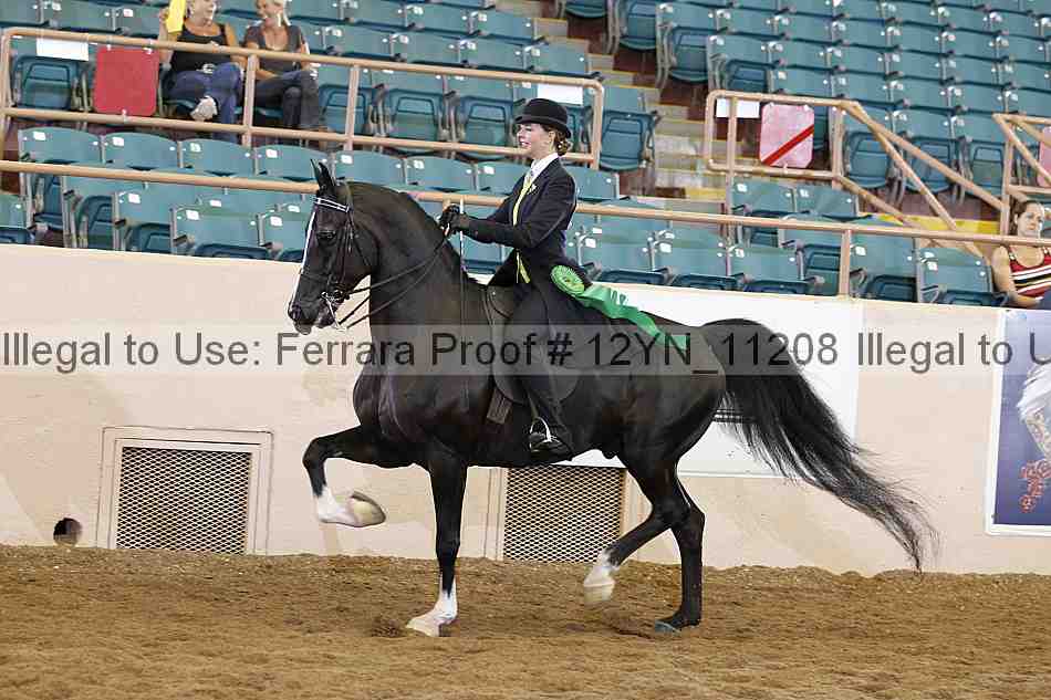 Proof 12yn_11208