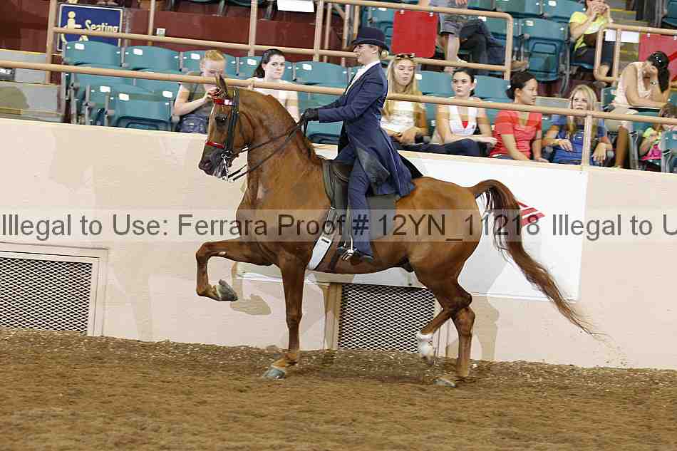 Proof 12yn_11218