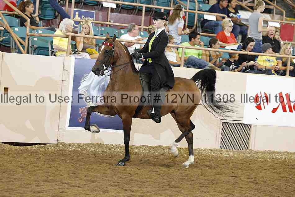 Proof 12yn_11308