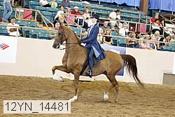 12yn_14481 proof