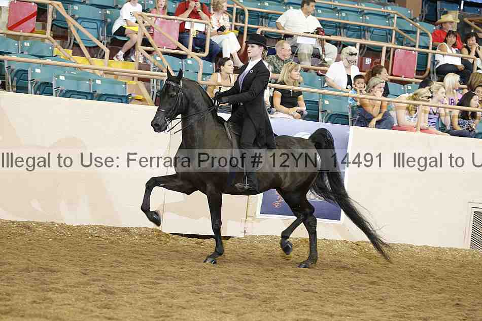 Proof 12yn_14491