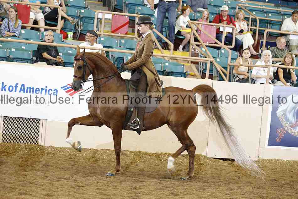 Proof 12yn_14496