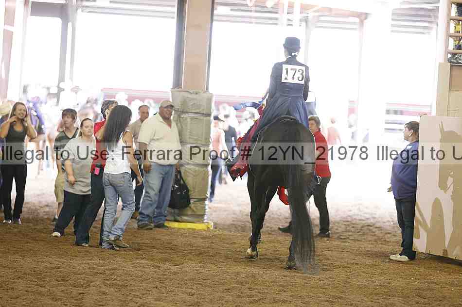 Proof 12yn_21978
