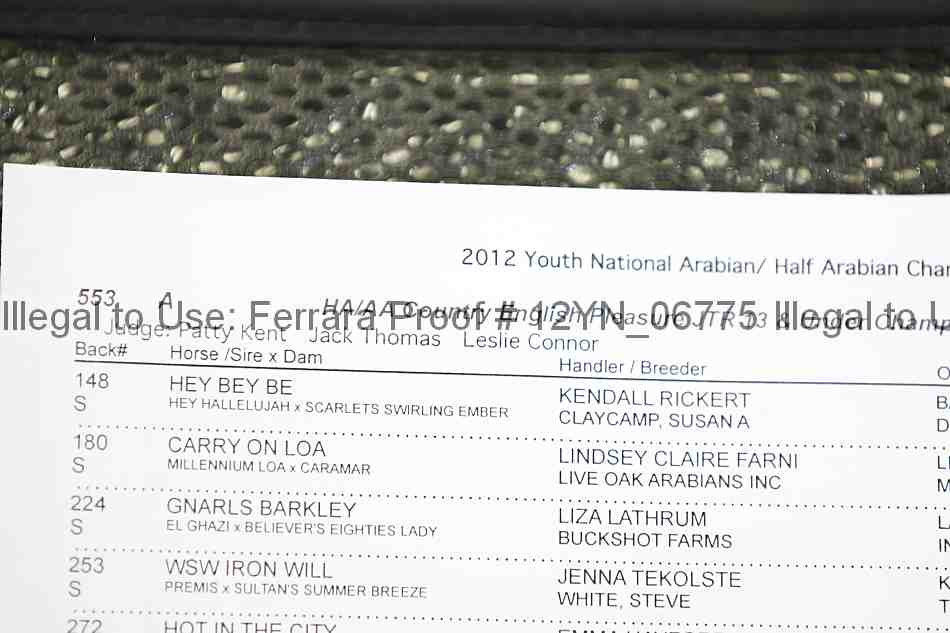 Proof 12yn_06775