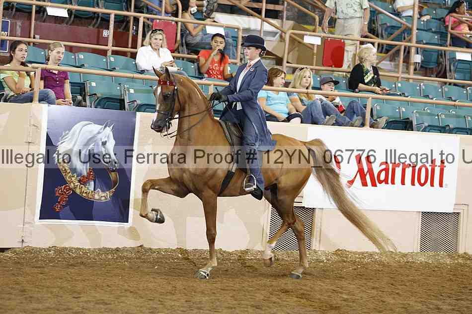Proof 12yn_06776