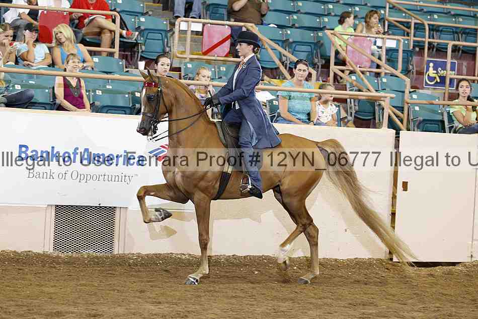 Proof 12yn_06777