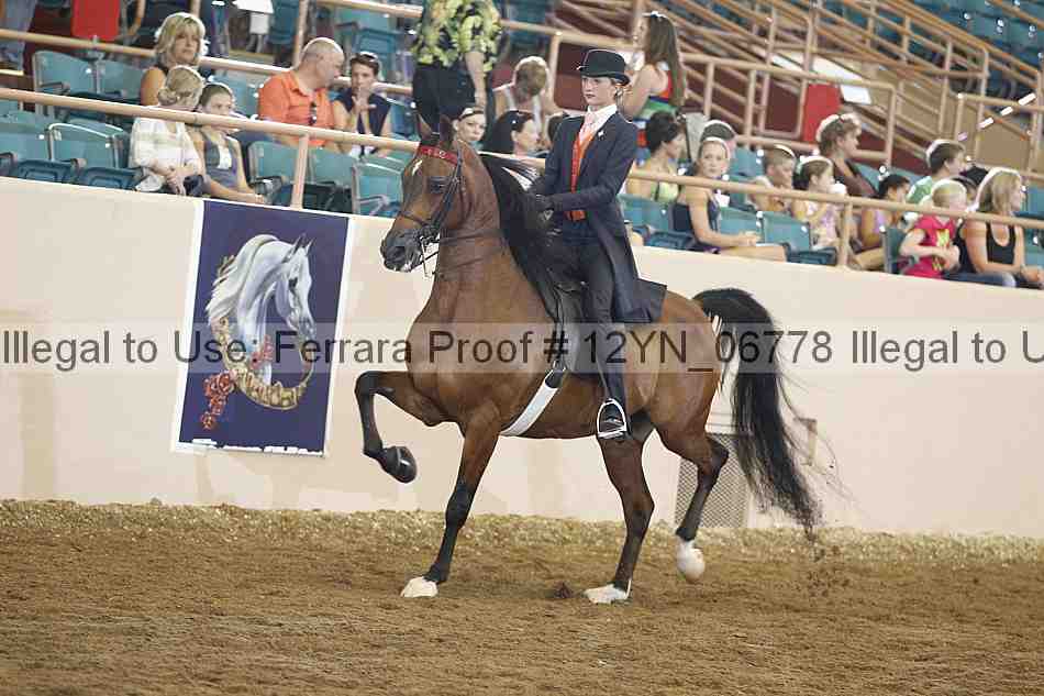Proof 12yn_06778