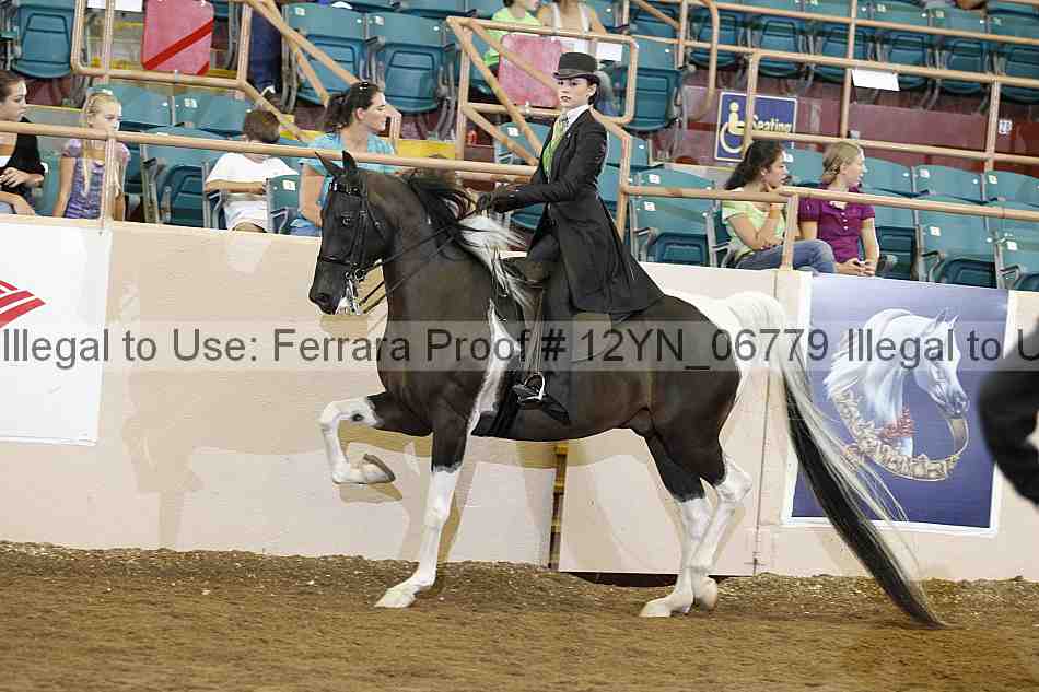Proof 12yn_06779