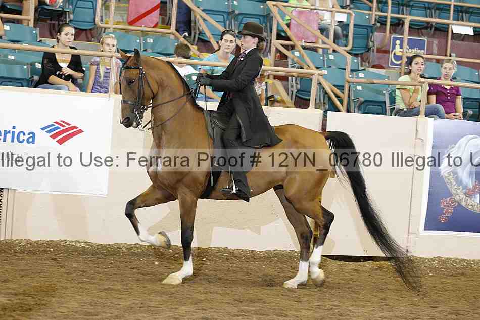 Proof 12yn_06780