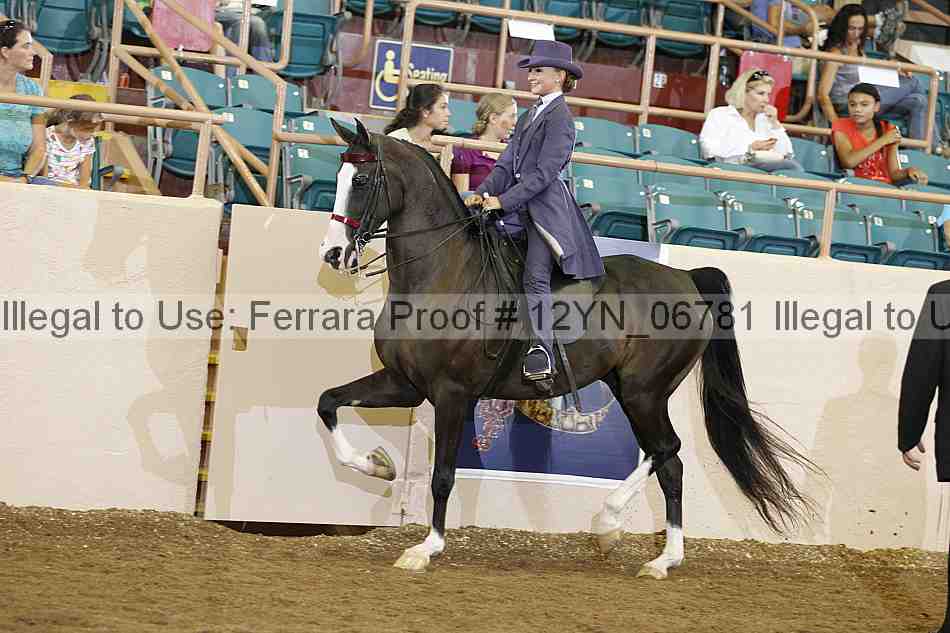 Proof 12yn_06781