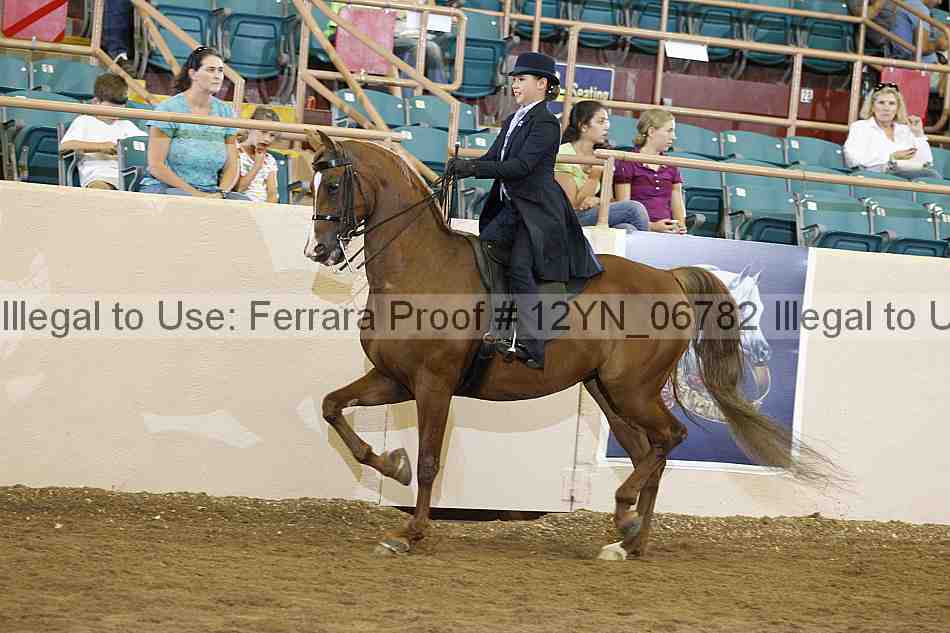 Proof 12yn_06782