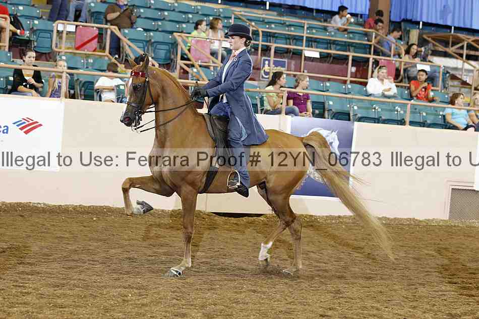 Proof 12yn_06783