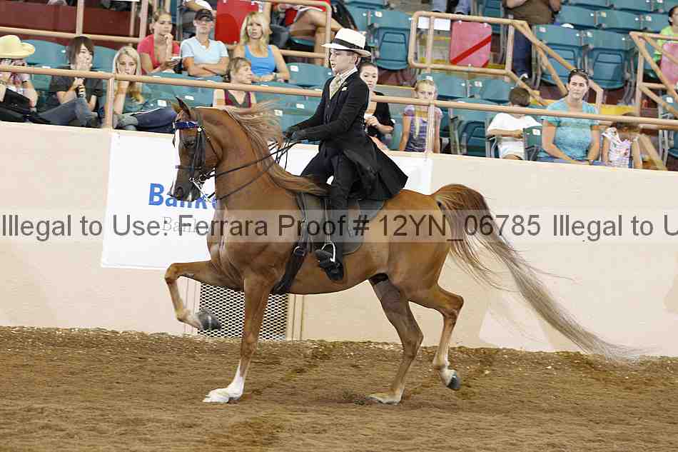 Proof 12yn_06785