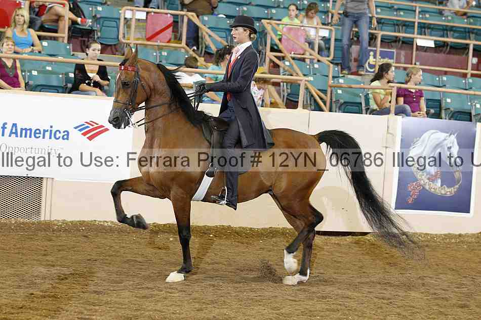 Proof 12yn_06786