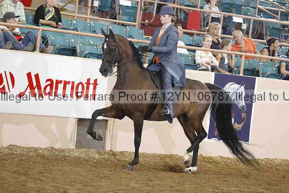 Proof 12yn_06787