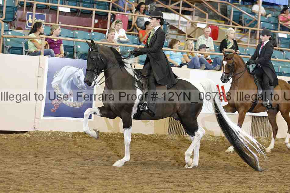 Proof 12yn_06788