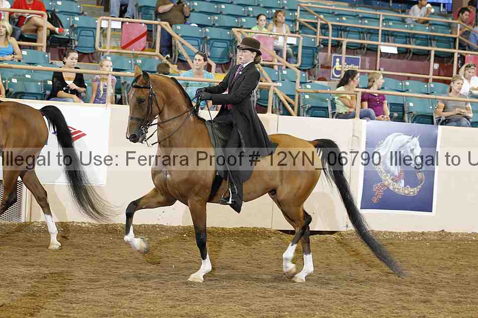 Proof 12yn_06790