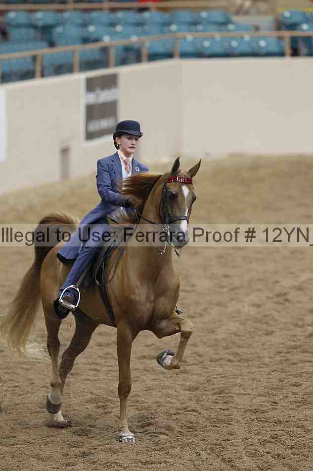 Proof 12yn_06791