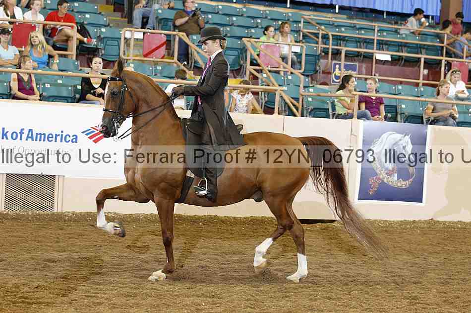 Proof 12yn_06793