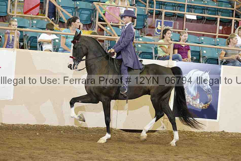 Proof 12yn_06794