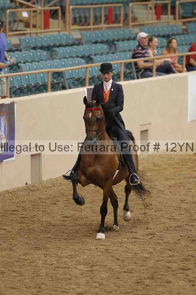 Proof 12yn_06795