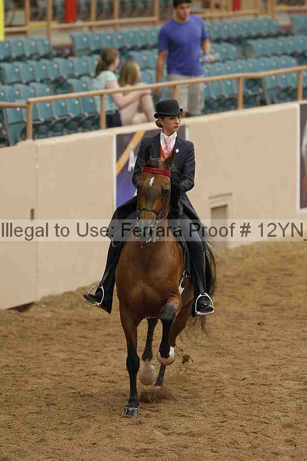 Proof 12yn_06796