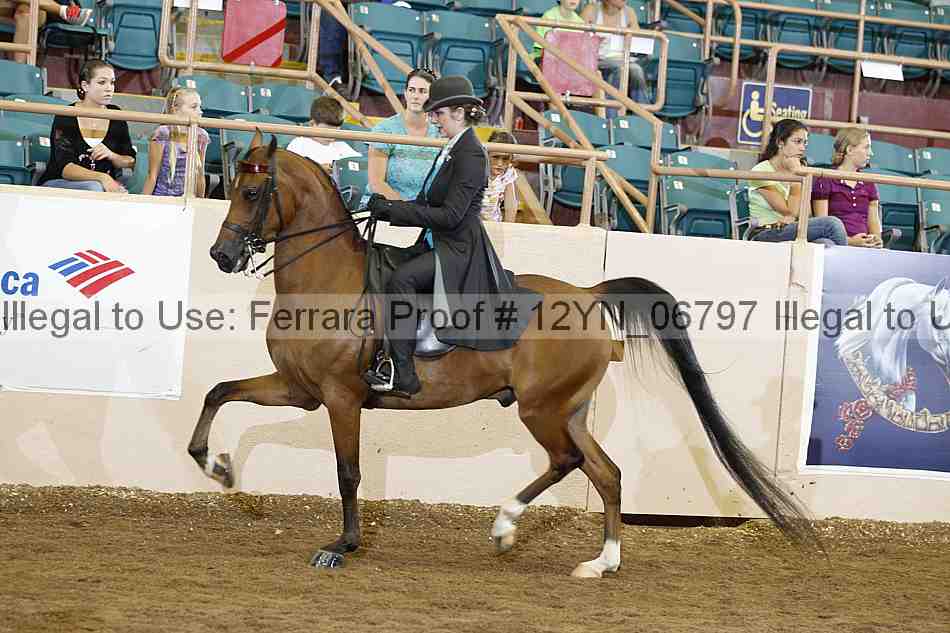 Proof 12yn_06797
