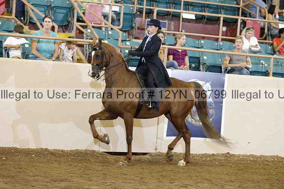 Proof 12yn_06799