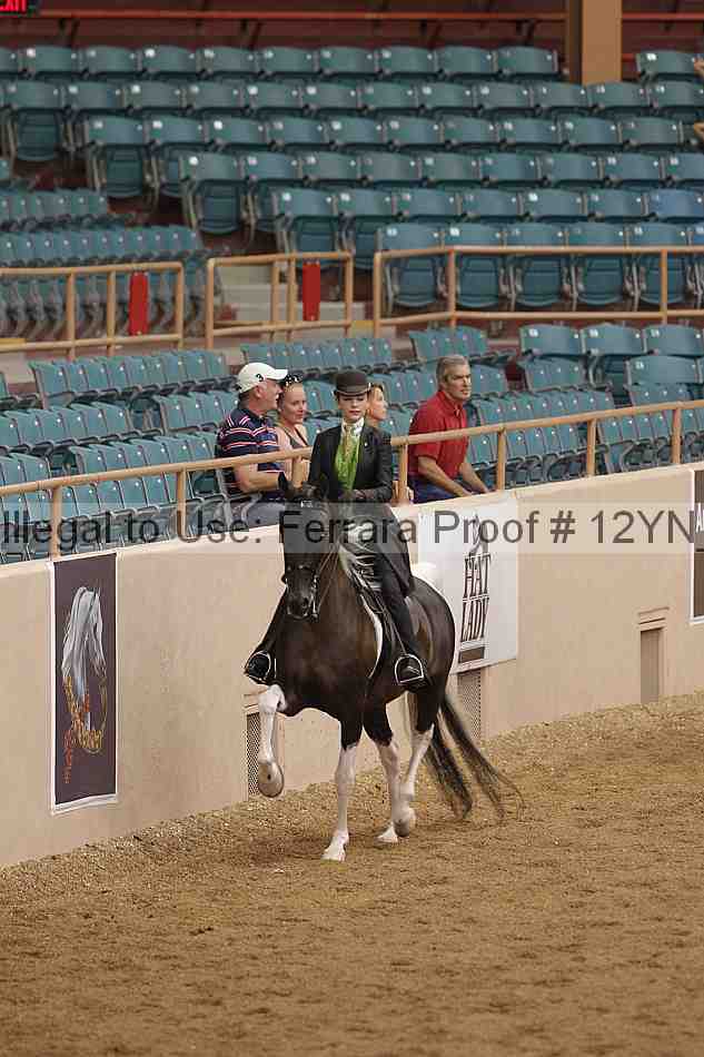Proof 12yn_06800