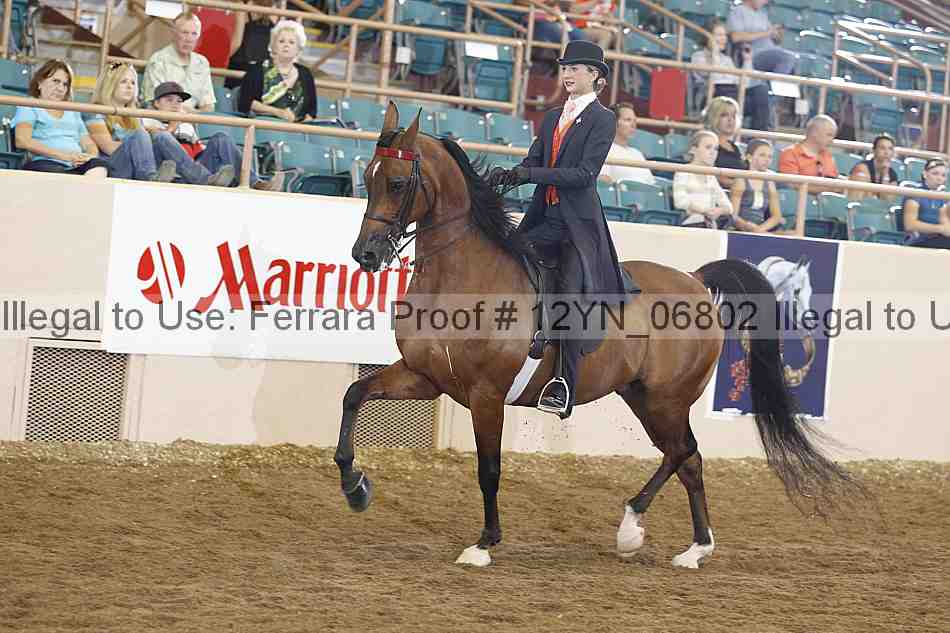 Proof 12yn_06802
