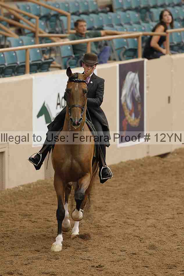 Proof 12yn_06803
