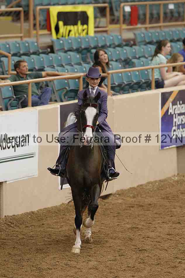 Proof 12yn_06804