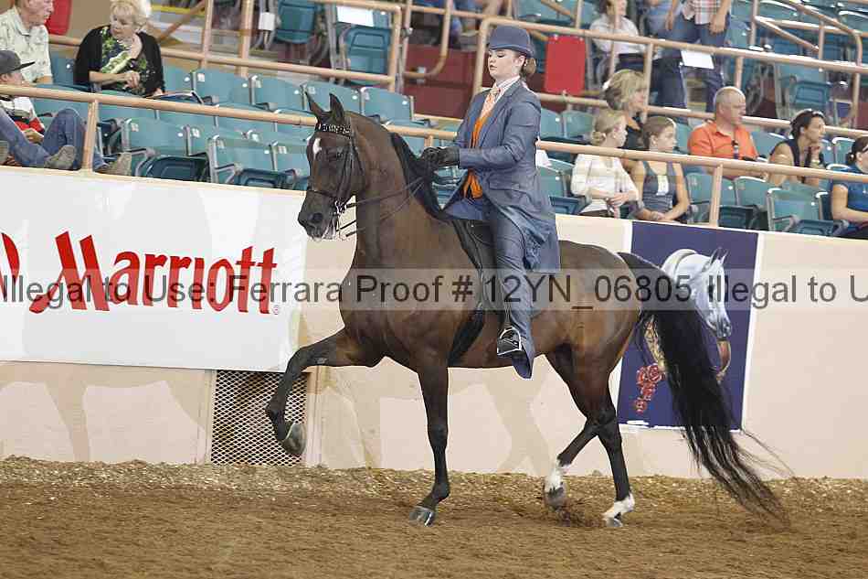 Proof 12yn_06805